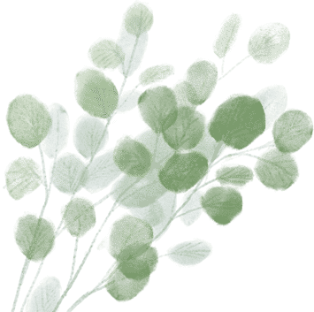 欧阳修蝶恋花原文及赏析（蝶恋花翻译及注释）
