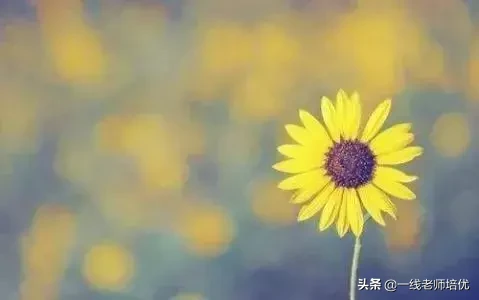 什么样的小草形容词（描写小草的短句）