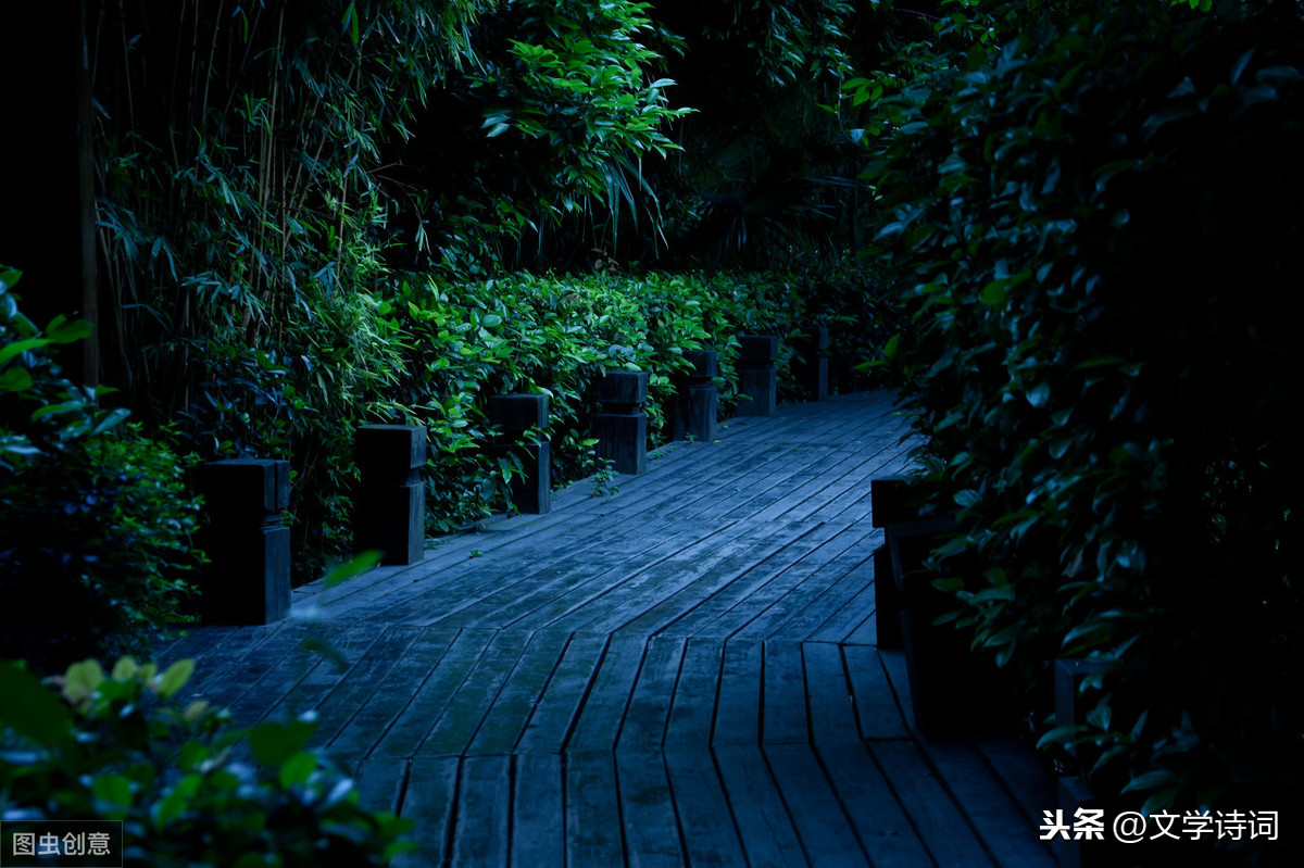 夏夜追凉古诗赏析及思想感情（夏夜追凉翻译）