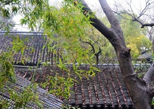 冬天的雨的优美句子（抖音上最火的下雨说说）