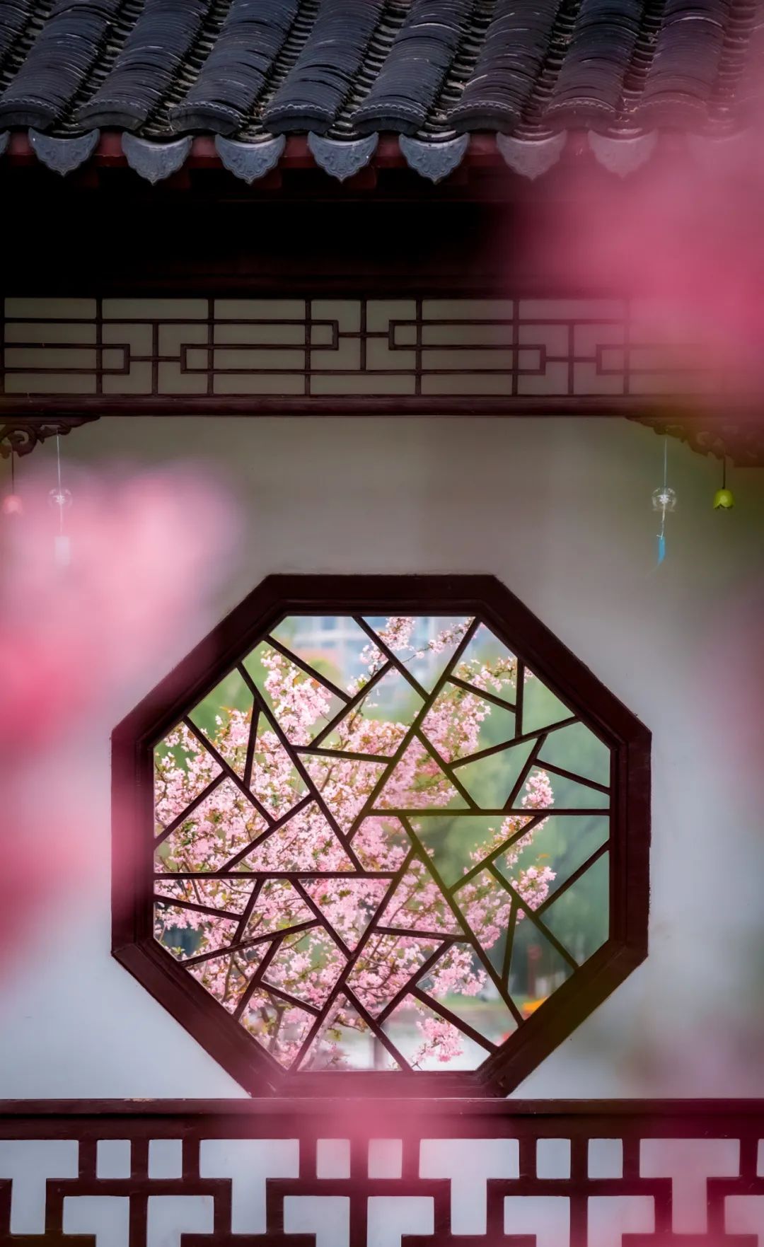 柳永最著名的词句（柳永的情诗名句）