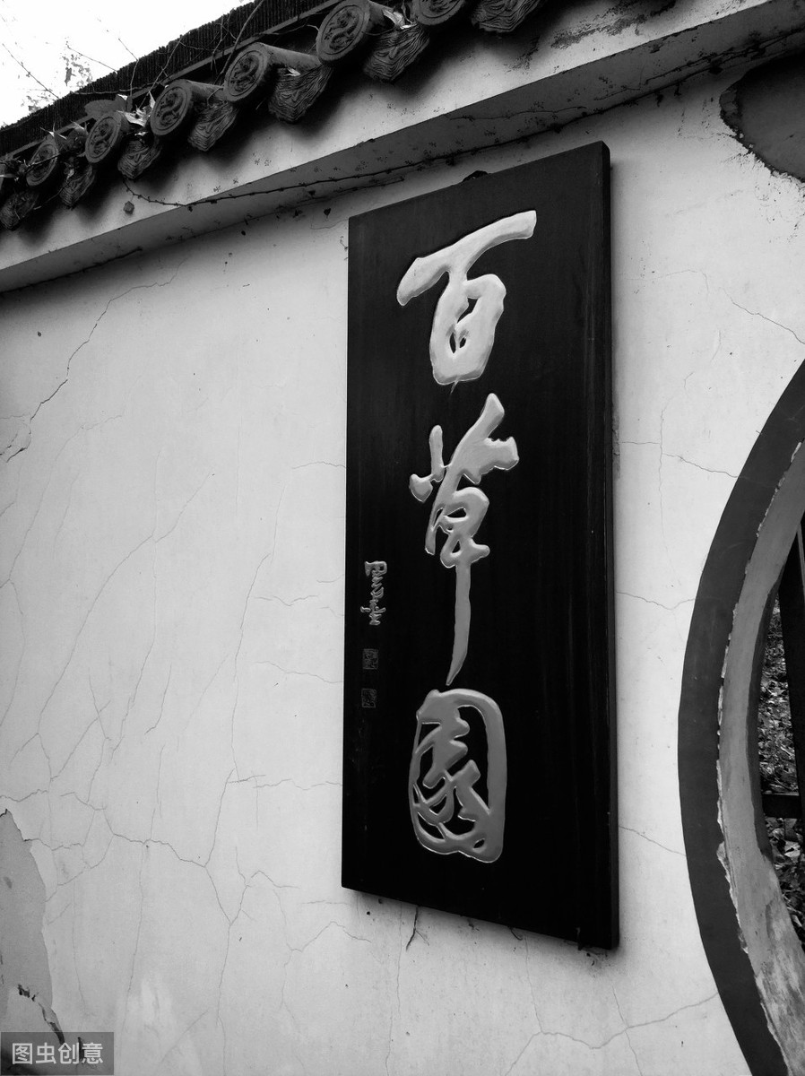 从百草园到三味书屋原文（三味书屋原文赏析）