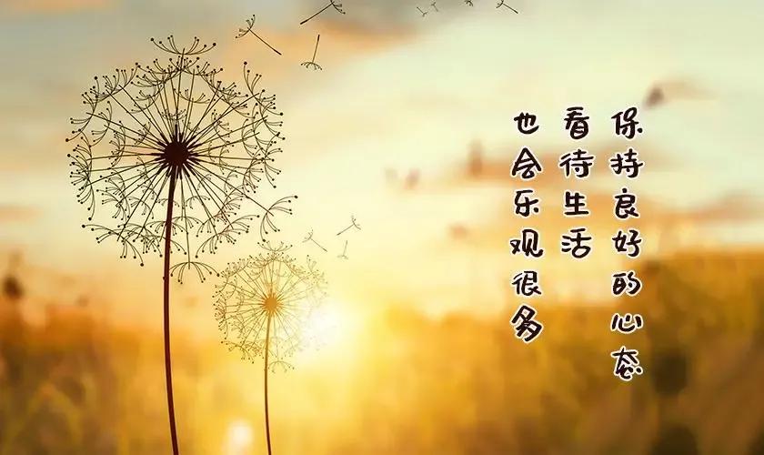 伤感的句子带人生感悟（伤感哲理句子精辟）