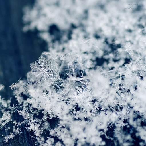 第一场雪原文赏析（第一场雪划分段落并起标题）