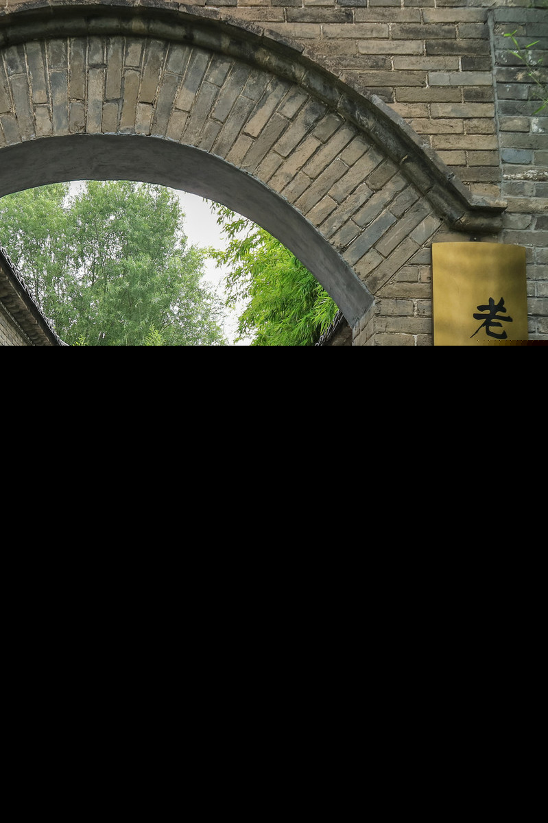 老舍我的母亲赏析（我的母亲摘抄好词好句）