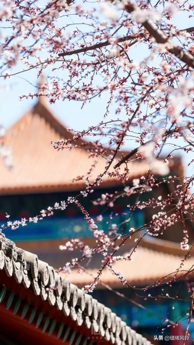上善若水原文及翻译（道德经关于水的原文）
