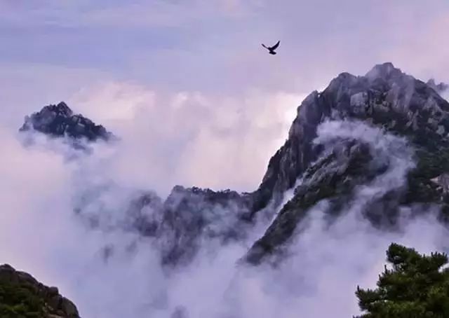 形容黄山美景的句子（用一句话赞美黄山美景）