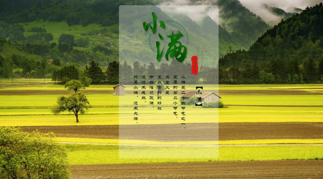 关于节气小满的诗句（小满节气古诗一百首）