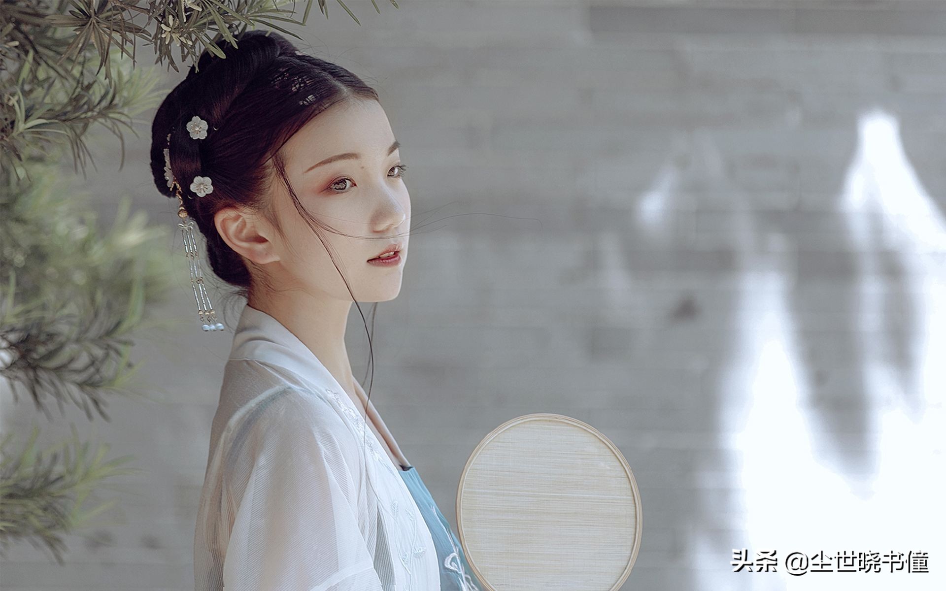 清平乐李白诗词（清平乐古诗全文解析）
