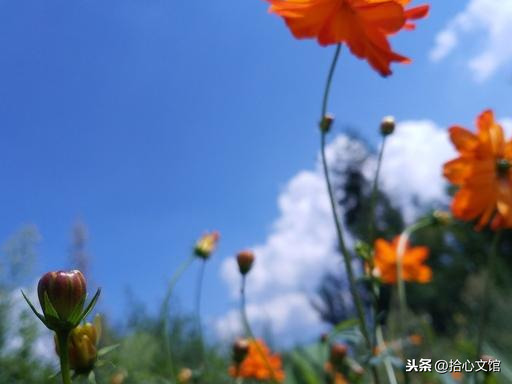 人生最高境界8个字（形容最透彻的人生感悟）