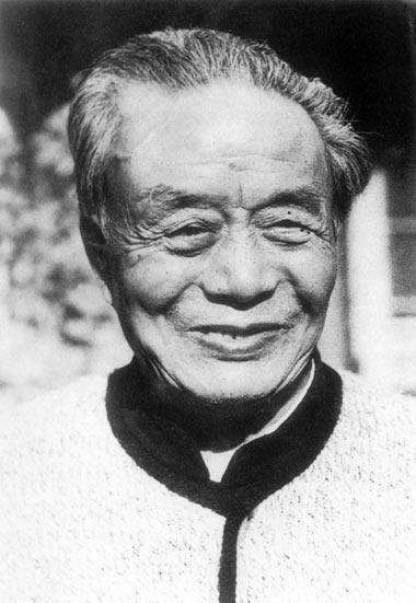艾青的现代诗有哪些（失去的岁月原文赏析及诗意）
