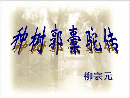 种树郭橐驼传翻译注释（原文内容及全文翻译）