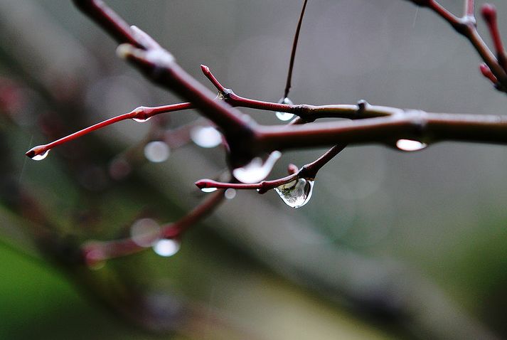 冬天的雨的优美句子（抖音上最火的下雨说说）