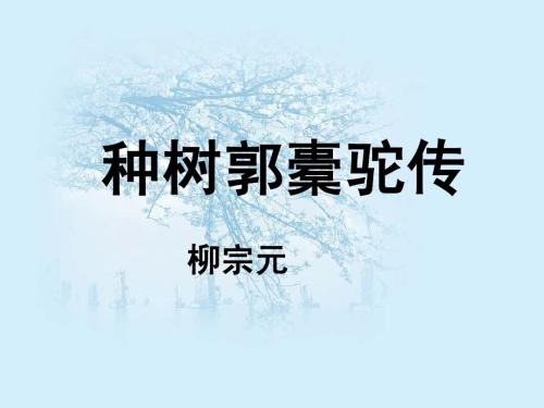 种树郭橐驼传翻译注释（原文内容及全文翻译）