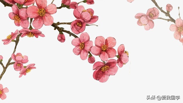 1到5年级关于梅花的古诗有哪些（赞美梅花的150首古诗）