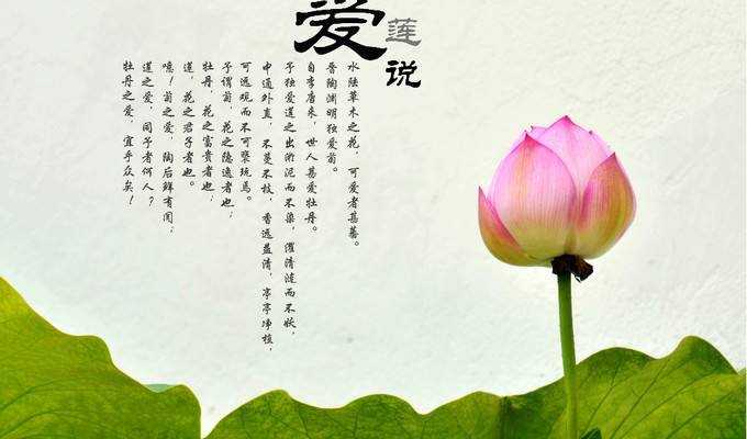 爱莲说原文及翻译注释（爱莲说的意思）
