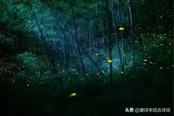 与星星有关的诗句（形容星星的诗句唯美）