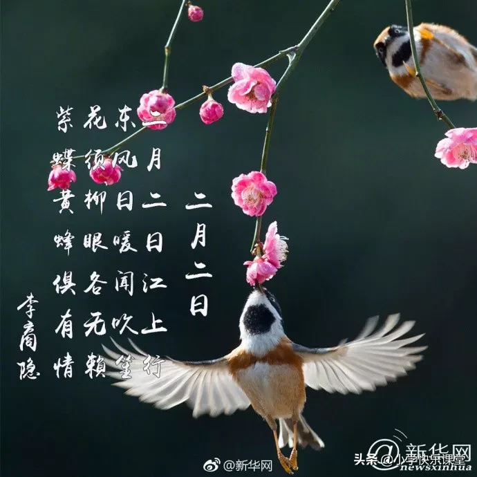 关于二月二龙抬头的古诗（有关龙抬头的诗句古诗）