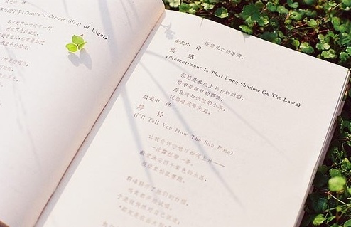 感情英语句子唯美简短（表达感情的英文说说）