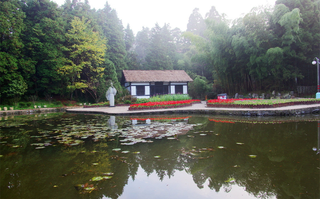 大林寺桃花古诗诗意（大林寺桃花全文内容及诗意）
