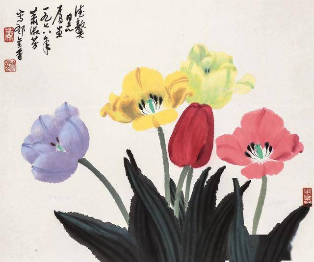 描写郁金香的优美句子（郁金香的浪漫寓意文案）