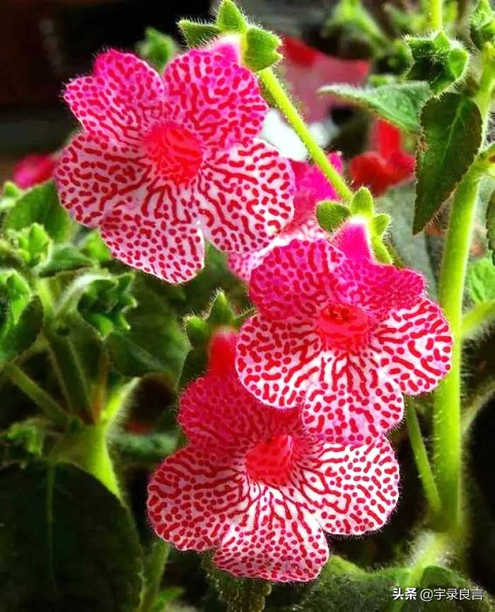 付出与收获的优美句子（激励上进正能量短句大全）