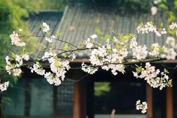形容豁然开朗的诗句（人生大彻大悟的诗句）