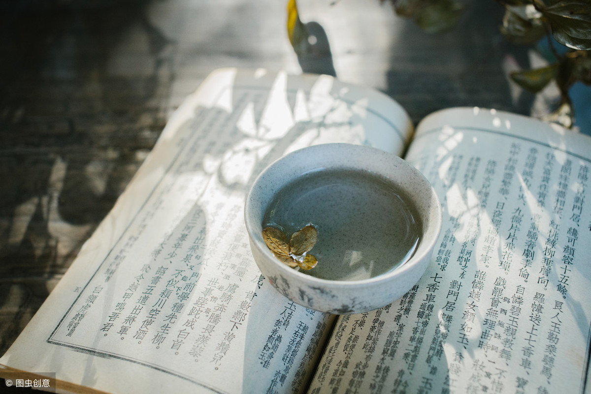 鹿柴古诗带拼音注释（鹿柴的读音全文解释）