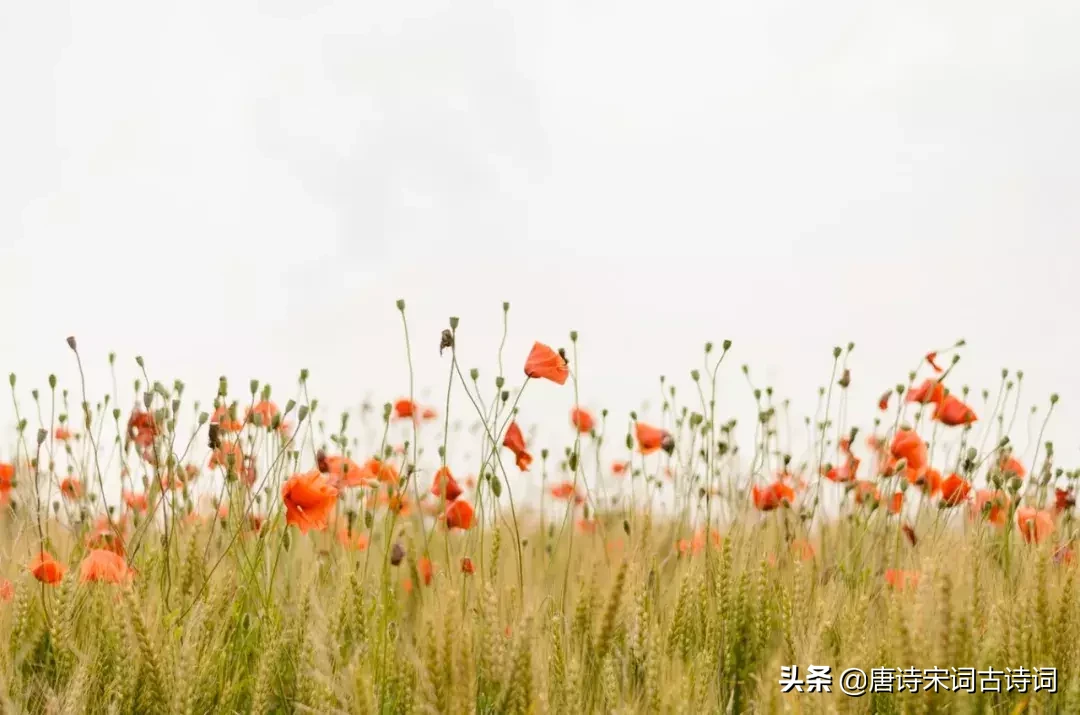 励志古诗词名言名句（八个字激励短句）