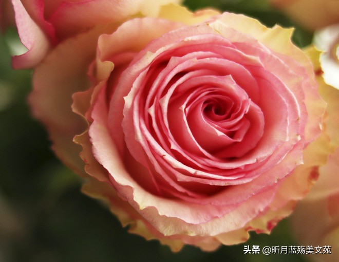 一切安好的唯美句子（很暖很治愈的短句）