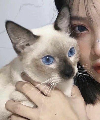 友谊的句子唯美超短句（姐妹相聚快乐时光句子）