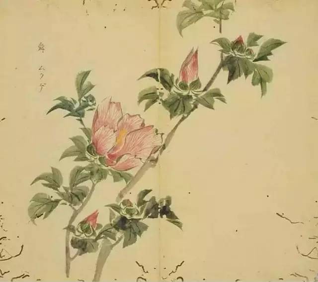 古诗词300首简短（欣赏古诗大全）
