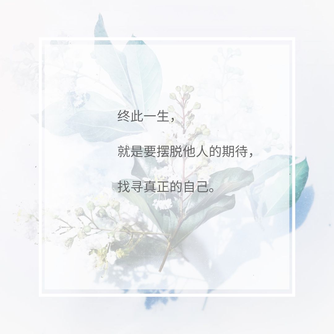 水蜜桃文案宣传语（吸引人的活动宣传语）