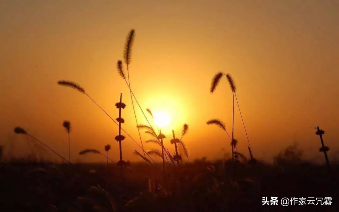 雪诗句大全唯美伤感（雪中离别的诗句伤感）