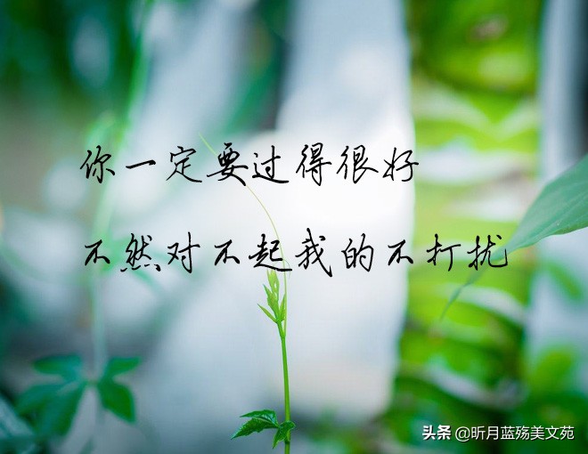一切安好图片带字唯美（愿你一切安好唯美句子）