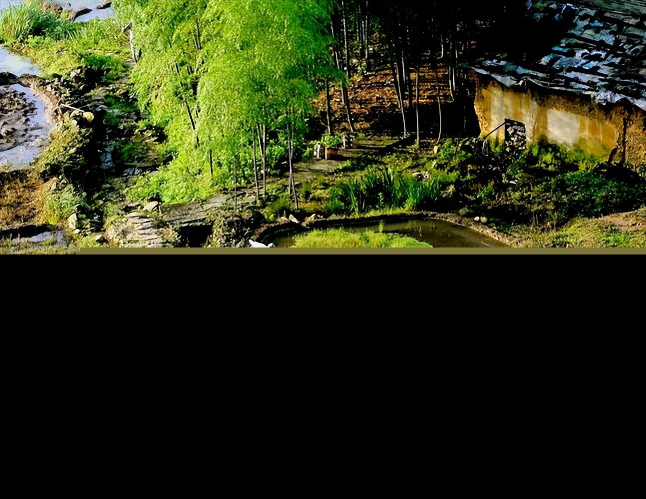 思乡的文章有哪些（表达对故乡的思念的作文）