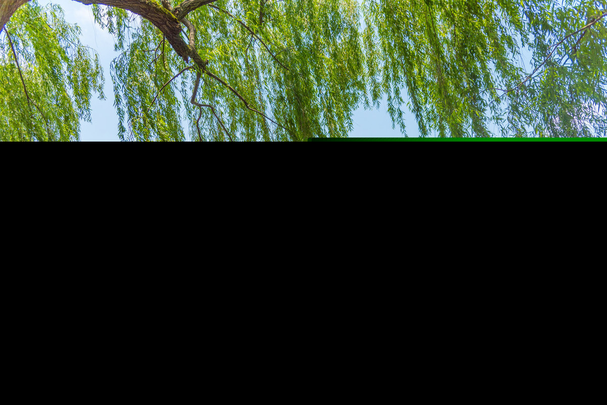 欧阳修踏莎行赏析翻译（踏莎行诗文内容及释义）
