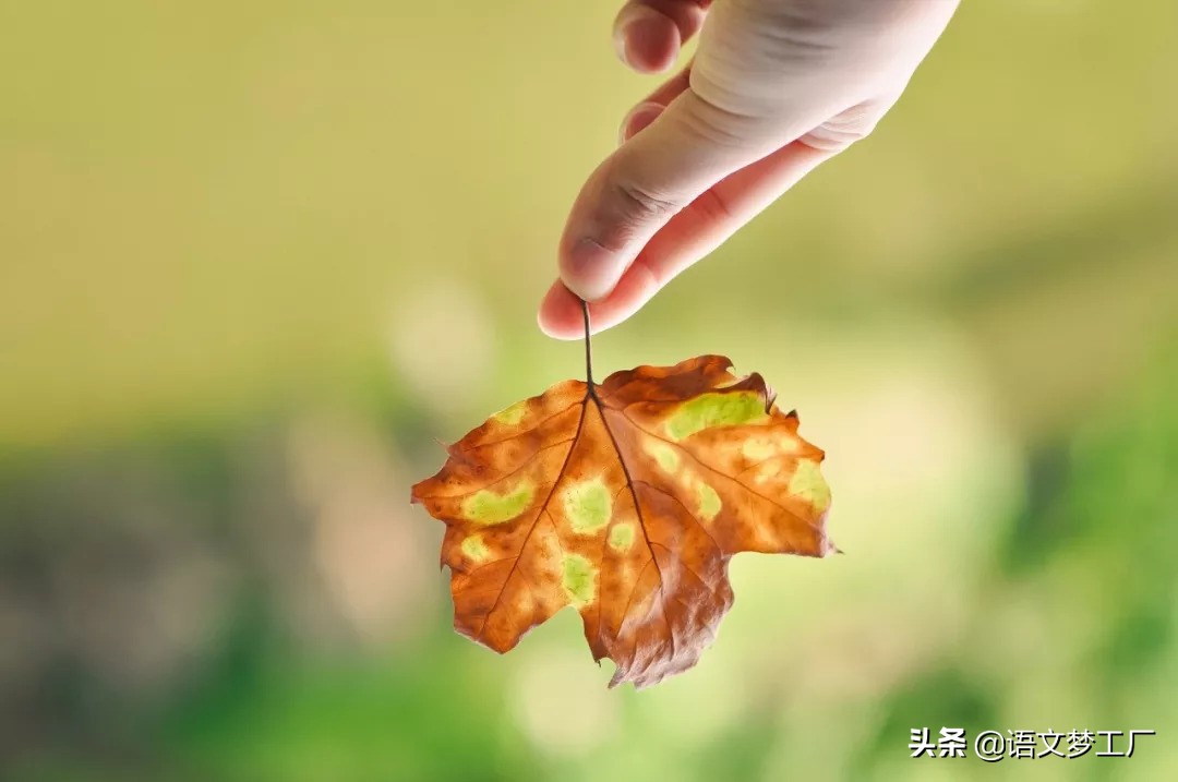 形容心情的诗句唯美（意境优美的古诗词短句）