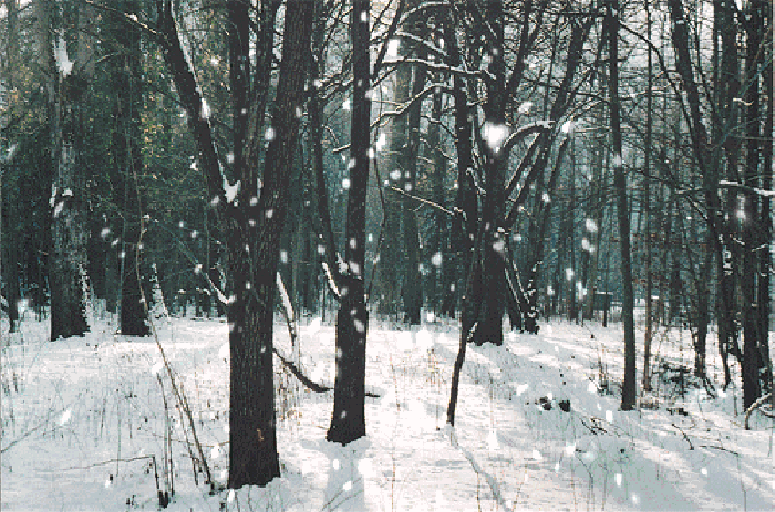描写雪的古诗名句（关于雪的古诗词）