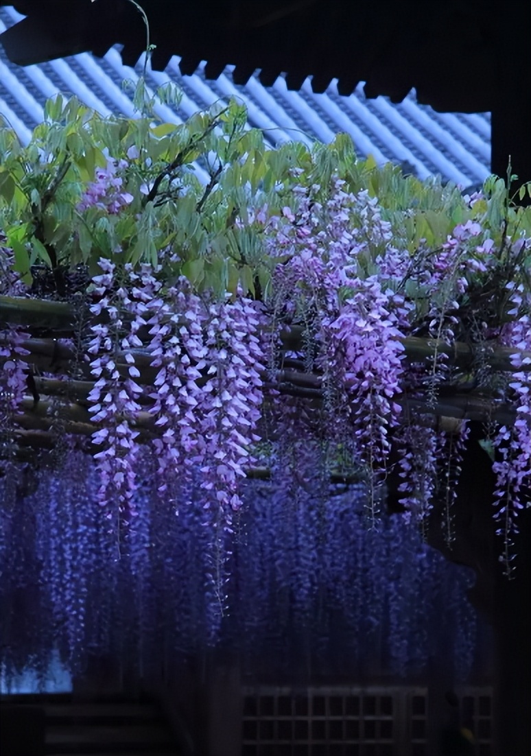 描写花的优美句子短句（朋友圈晒花的经典句子）