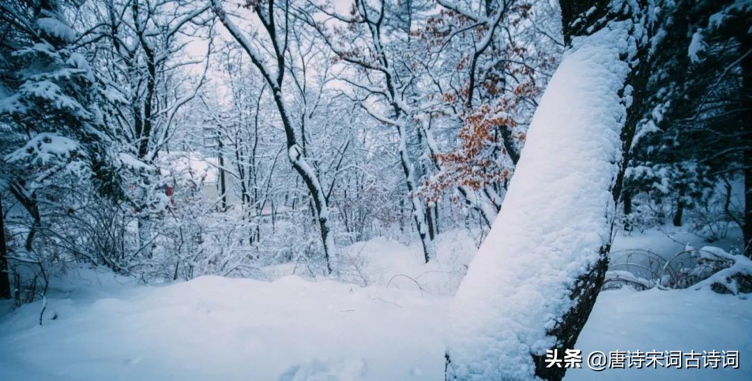 咏雪的名句有哪些（有关咏雪的诗句古诗）