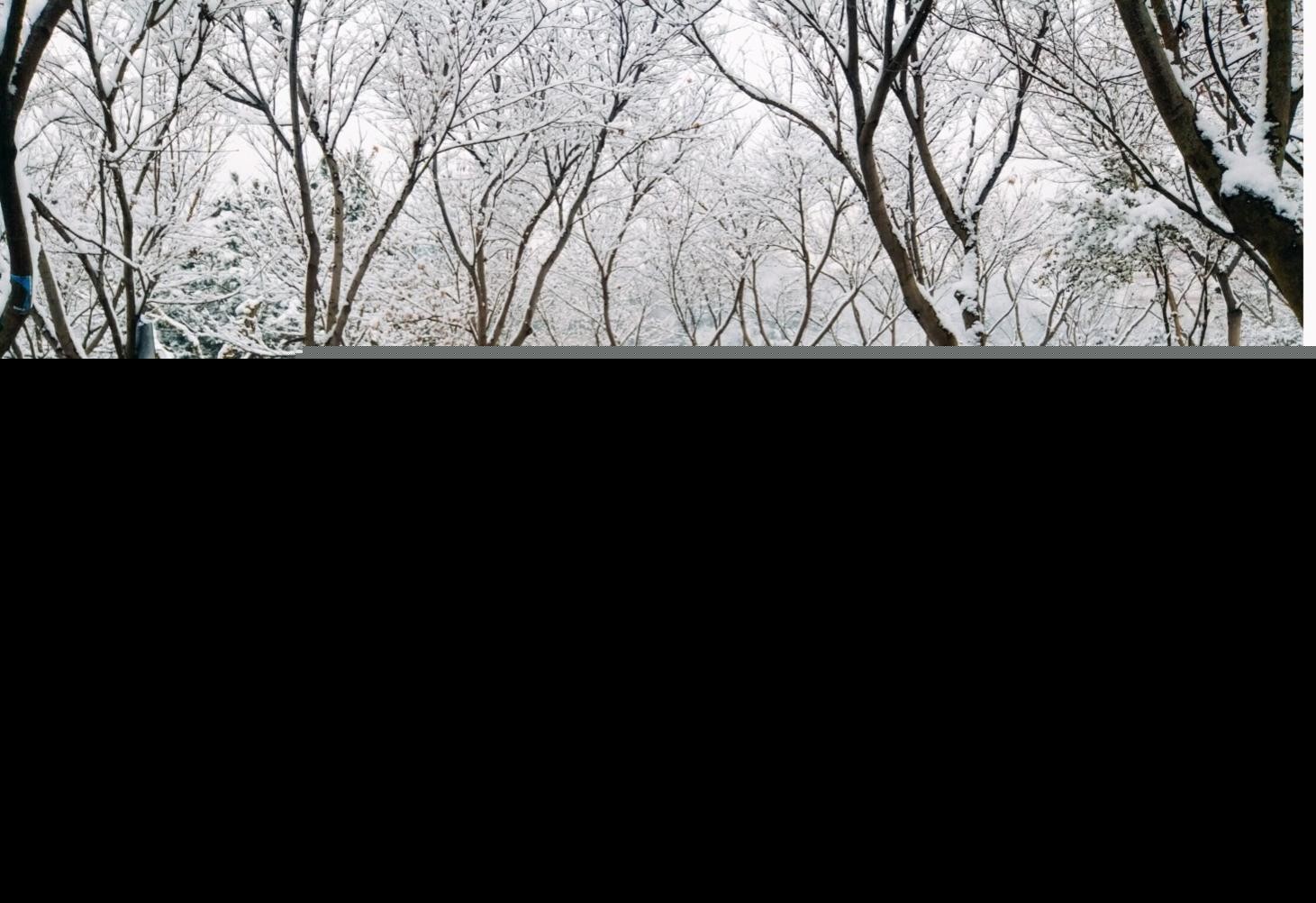 雪诗句大全唯美伤感（雪中离别的诗句伤感）