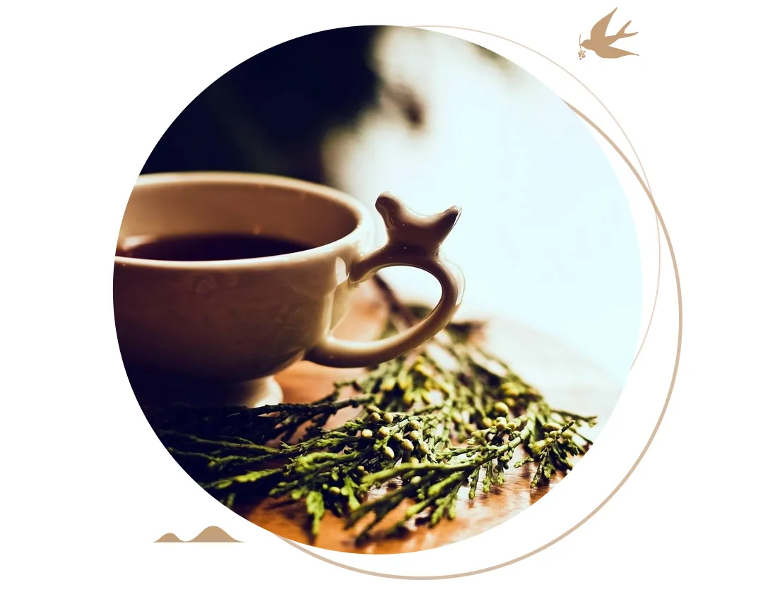 诗经中关于茶叶的诗句（诗经中最唯美的茶名）