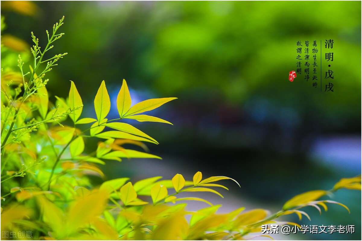 适合清明节朗诵的诗歌（清明节缅怀烈士诗歌朗诵）