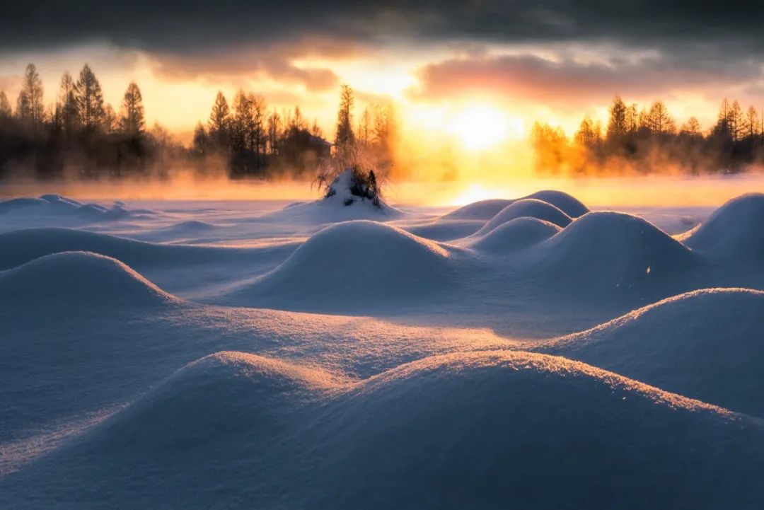 春天下雪的诗句唯美（赞美春天雪景的诗句）