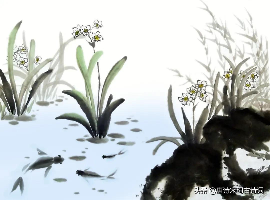 水仙花的诗句有哪些（描写水仙花的现代诗）