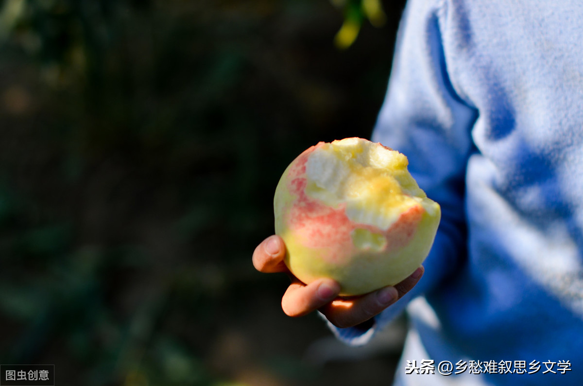 关于思乡的文章有哪些（思乡的经典散文）