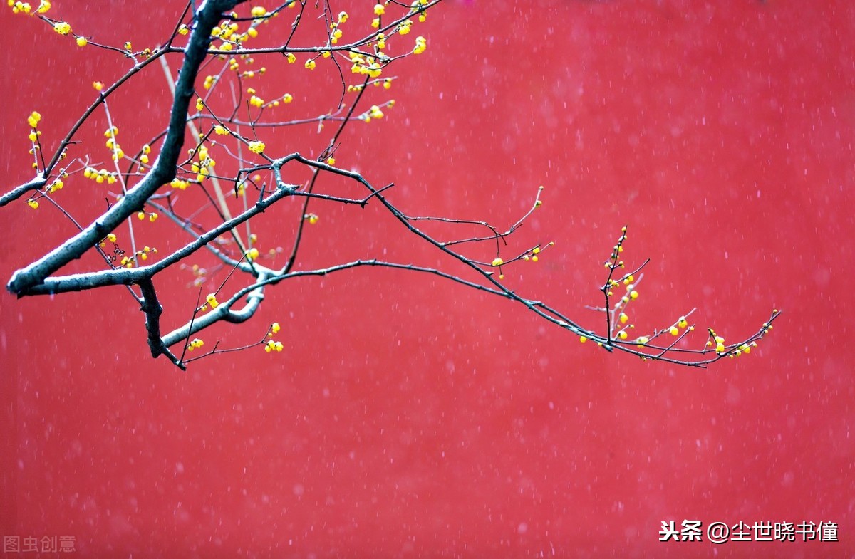 形容不得志的诗句（人生不得志压抑的诗句）