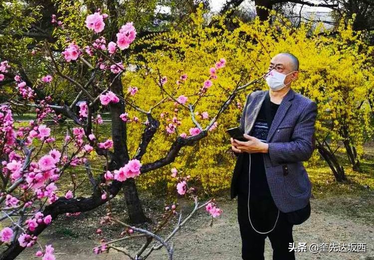 桃花现代诗歌作者（关于桃花的诗歌自创）