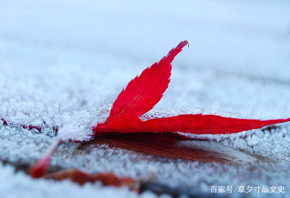 表达怀旧的经典诗句（形容有年代感的句子）
